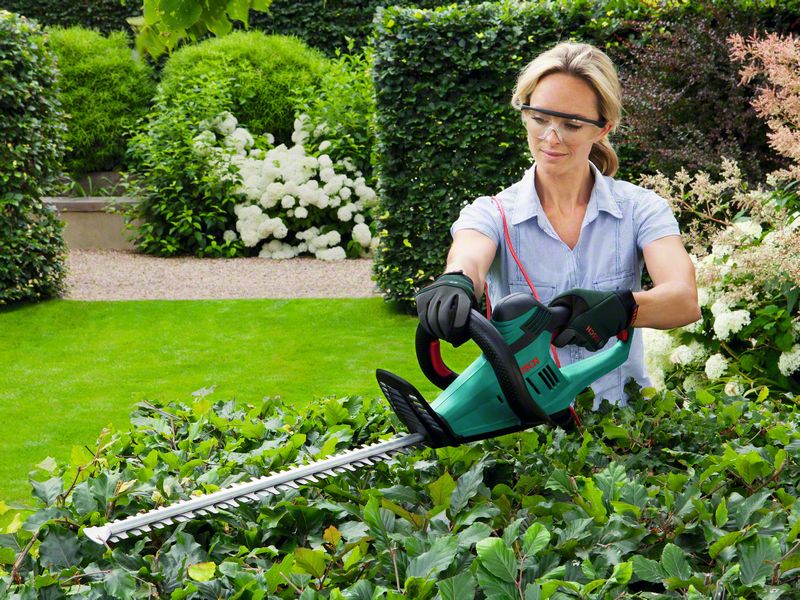 Scule și unelte necesare pentru grădinăritul de toamnă