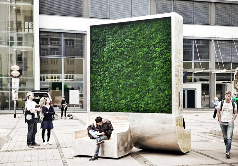 Copacii Urbani care vor schimba spatiile verzi ale viitorului